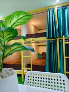 een kamer met een stapelbed en een tafel met een plant bij Banana Bunkhouse Hostel in Rawai Beach