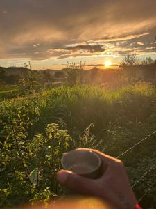 Fotografie z fotogalerie ubytování Warrior Homesaty And Cafe Chugan Bir v destinaci Baijnāth