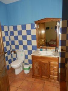 a bathroom with a toilet and a sink at Casa Rural Los Olivos in Sotoserrano