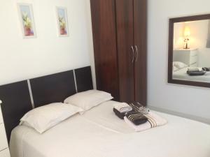 a bedroom with a bed with two pillows and a mirror at Apartamento Guarapari com aconchego in Guarapari