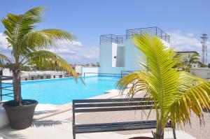a swimming pool with two palm trees next to a building at Phenomenal Location Near Beach & 5th with Stunning Roof Pool in Playa del Carmen