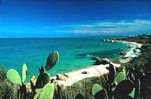 Paesaggio naturale nelle vicinanze dell'affittacamere