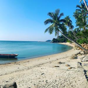 une plage avec un bateau et des palmiers dessus dans l'établissement TopCats Fishing Resort, à Koh Samui