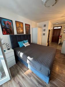 Un dormitorio con una cama grande en una habitación. en Paloma Blanca 2, en Gárdony 32 fotos más