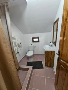 IzlazにあるCabana Dariaのトイレと洗面台付きのバスルーム +39枚の写真