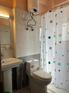 une salle de bain avec toilettes et rideau de douche dans l'établissement Kathmandu Family Guest House, à Pātan