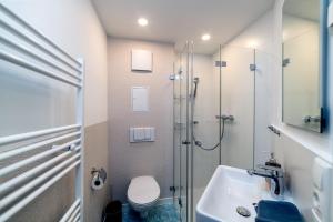 a bathroom with a shower and a toilet and a sink at FeWo Dwarslöper in Sassnitz +7 photos