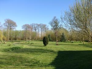 un campo verde con un árbol en el medio. en La Croix Saint Gilles, en Langourla