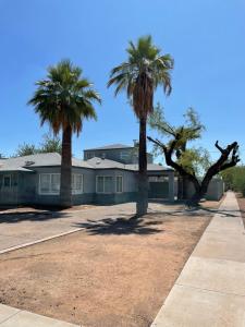 フェニックスにあるTHE SINATRA STUDIO FULL KITCHEN and YARD ARTS RooSEVELT ROW CONVENTION CENTER ASU DOWNTOWN PHOENIXの建物前のヤシの木