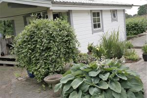 Zahrada ubytování Gånarps backaväg 39