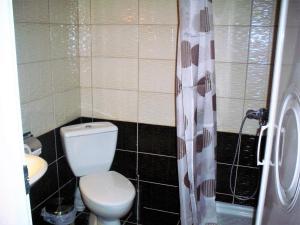 a small bathroom with a toilet and a shower at Four Seasons Studio in Asprovalta