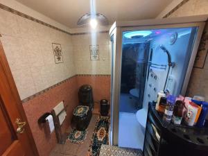 a bathroom with a shower and a toilet in it at Baltā māja in Riga
