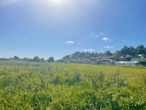 a field of grass with houses in the background at Ferienhaus Salem am Kummerower See in Salem