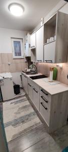 Η κουζίνα ή μικρή κουζίνα στο Apartament Antonia Central