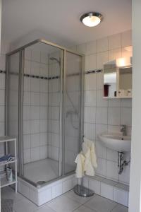 a bathroom with a shower and a sink at Ferienhaus Hübner in Leipzig