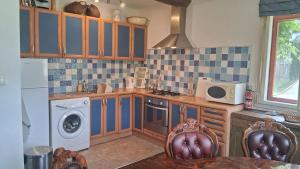a kitchen with a washing machine and a washer and dryer at Villa Rustica in Hruškovica