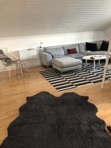 una sala de estar con un sofá y una alfombra en Central seaview apartment with balcony, en Tromsø 30 fotos más