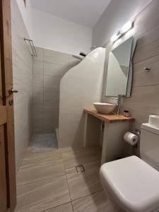 a bathroom with a shower and a toilet and a sink at MARGARITA'S-STUDIOS in Koufonisia
