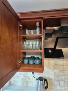a kitchen cabinet with pots and pans in it at Silver Chopin Apartment 15 Lubartów in Lubartów +25 photos
