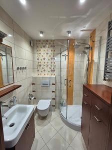 a bathroom with a sink and a toilet and a shower at Silver Chopin Apartment 15 Lubartów in Lubartów