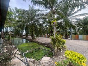 Сад в Capital O 91206 Homestay Pelangi Ban Pecah