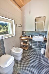 カルレンティーニにあるAgriturismo Pietre di Geloのバスルーム(トイレ、洗面台、鏡付)