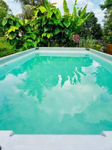 Bazén v ubytování Kempadang Courtyard Homestay - Kuantan nebo v jeho okolí