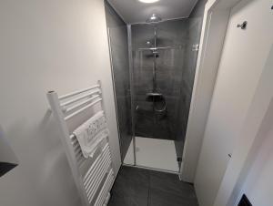 a bathroom with a shower with a glass door at Ferienwohnung am Bauernhof, Seeblick, Bergpanorama in Keuschen +8 photos