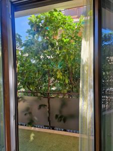 a window with a tree in the reflection of it at Alis home 100 mt dal mare in Loano