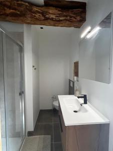 a bathroom with a sink and a shower at Gîte au cœur des Bastides Albigeoises in Le Verdier