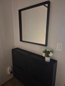a mirror on top of a dresser with a plant on it at Lay House in Suwon +21 photos