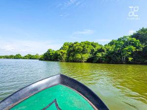 Φυσικό τοπίο κοντά σε αυτός ο ξενώνας