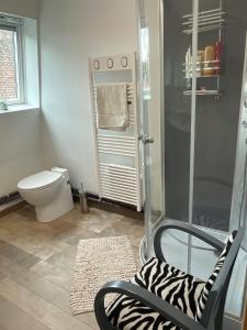 a bathroom with a toilet and a chair and a shower at Chambres dans maison de centre ville in Douai