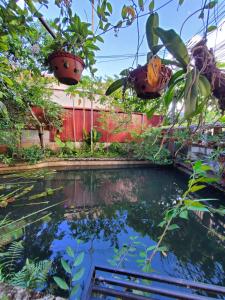 Φωτογραφία από το άλμπουμ του Trutina's Home - City Loop & Exploration σε Ha Giang