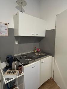 a small kitchen with a stove and a sink at Urban Stay Kremsmünster Studio in Kremsmünster