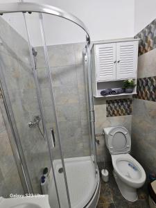 a bathroom with a shower and a toilet at AchiDav 133 in Onești +27 photos