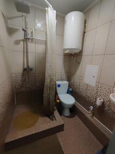 a bathroom with a shower and a toilet and a sink at Однокімна квартира в центрі міста in Myrhorod