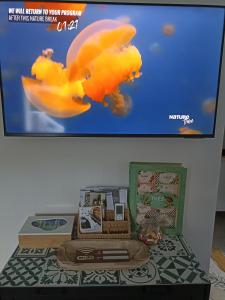 Saint-Maurice-de-BeynostにあるLe Cosy chicのテレビ画面におもちゃの魚が置かれたテーブル