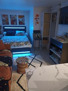 Saint-Maurice-de-BeynostにあるLe Cosy chicのベッドルーム1室(ベッド1台、テーブル、デスク付) +26枚の写真