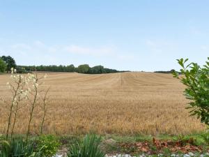 a large field of brown grass with a hill in the background at Holiday Home Asya - 600m from the sea by Interhome in Bogense