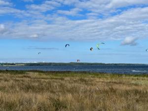 a group of kites flying over a body of water at Holiday Home Ilene - 1km from the sea by Interhome in Bogø By