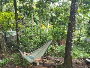 a man laying in a hammock in a forest at Nostalgia Camping Home 1 in Selemadeg +12 photos