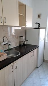 Η κουζίνα ή μικρή κουζίνα στο Stan na dan centar 2