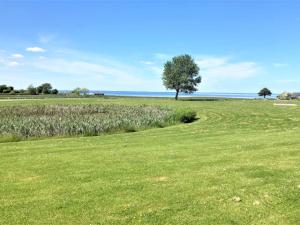 BroにあるHoliday Home Matleena - 200m from the sea by Interhomeの海を背景にした畑の木