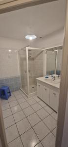 a bathroom with a shower and a sink and a mirror at Mont gîte de tournée in Montournais