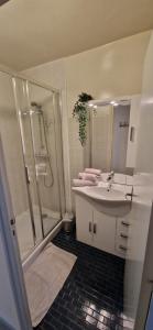 a bathroom with a sink and a shower and a toilet at La Musardière in Saint-Oyen
