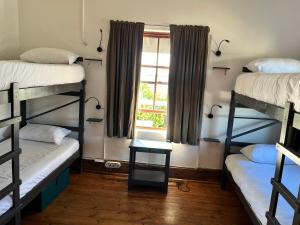 a room with three bunk beds and a window at Green Elephant Backpackers in Cape Town