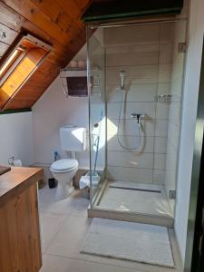 a bathroom with a shower and a toilet at Nánaháza in Alsónána +28 photos