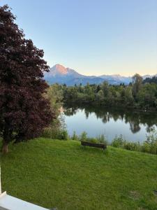 un banco sentado en el césped junto a un lago en Christoph's mountain and lake view, en Pflach 2 fotos más