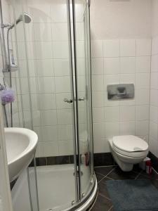 Un baño con ducha, inodoro y lavabo. en Christoph's mountain and lake view, en Pflach
